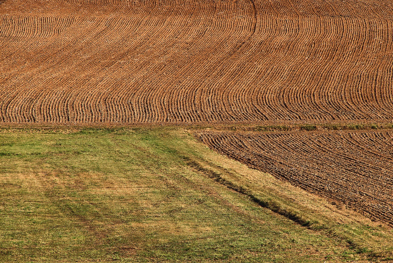 farmland-6771220_1280